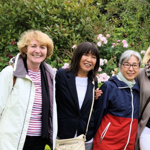 over-50s-courses - language courses